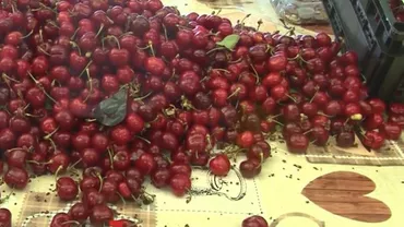 Capriciile vremii au lovit puternic în fructele româneşti. Cireșele de mai vin din import: „Producția e afectată în jur de 40% față de anul trecut”