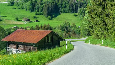 Apelul unui român din diaspora pentru cei care au proprietăți de vânzare la sat, în România: „Poate cineva s-o mai simți cumva și încearcă să mai taie din lăcomie”