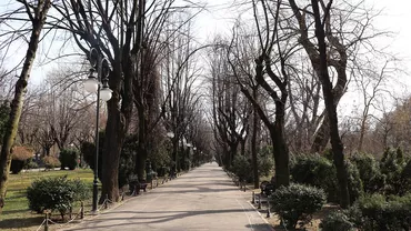 O cunoscută actriță din București, agresată în plină zi, într-un parc public: „Îmi cere bani, îi spun nu