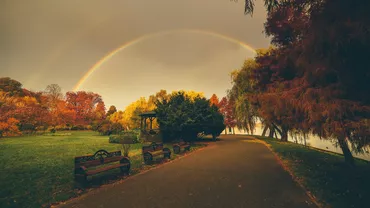 Accesul autovehiculelor va fi permis din nou în Parcul Herăstrău: „O pată pe obrazul autorității publice locale”