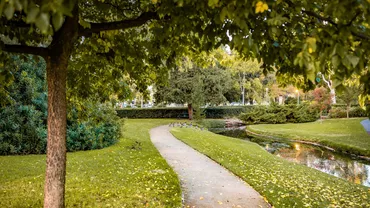 Șocant! Nouă persoane, dintre care opt copii, au fost înjunghiate într-un parc din Franța