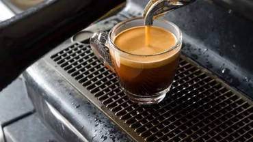 Un șarpe a fost găsit într-un aparat de cafea, în Mehedinți / Jandarmii au intervenit la fața locului