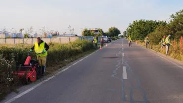 Consiliul Județean Ilfov anunță continuarea tratamentelor pentru distrugerea ambroziei de pe marginea mai multor drumuri județene (FOTO)