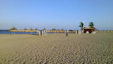 În scurt timp am putea mânca doradă de Marea Neagră. Biologii au adus 250 de puieți din Italia pentru a-i aclimatiza