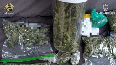 Tineri reținuți de DIICOT. Cultivau canabis într-un apartament din Sibiu (FOTO)