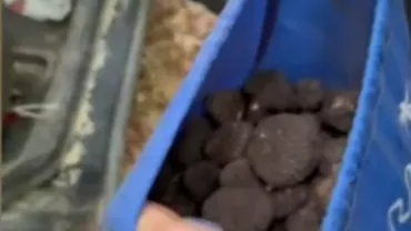 Un băcăuan a fost prins de jandarmi cu 4 kilograme de trufe, culese fără autorizaţie. Ce amendă a primit