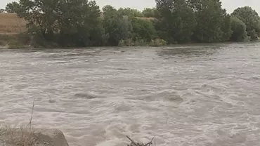 Dezastru natural pe râul Argeş, în Călăraşi. Mii de pești morți plutesc deasupra apei