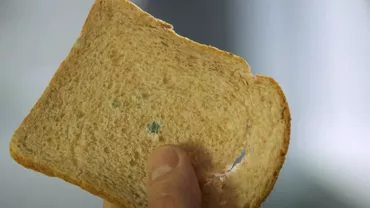 Un supermarket din Piatra Neamț a vândut clienților sandwich-uri în „crustă de mucegai” / Cum a fost sancționat magazinul