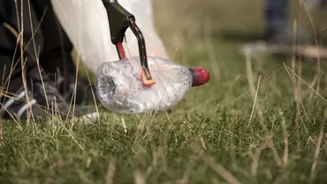 Român care strângea peturi într-un parc, imobilizat de autorități, în Germania / Ce spuneau martorii despre acesta