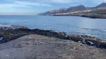 Descoperire unică pe malul Insulelor Canare: Cercetătorii au găsit o comoară de 500.000 de euro în interiorul unei balene