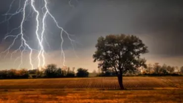 Tragedie în Botoșani: Doi frați au fost uciși de trăsnet / Copacul sub care se aflau, spintecat în două 