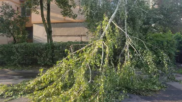 Vântul puternic a făcut pagube în Cluj. Stâlpi prăbușiți și copaci căzuți peste case