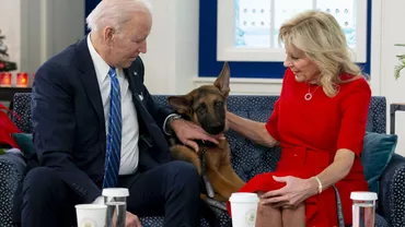 Câinele lui Joe Biden, spaima Serviciului Secret / Commander a mușcat de zeci de ori agenții de la Casa Albă