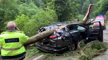 O femeie a murit și un bărbat a fost rănit din cauză că un arbore a căzut peste o mașină pe Transalpina. ISU Alba: Zona respectivă, sub Cod portocaliu de vreme severă (VIDEO)