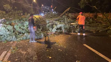 Furtuna a făcut prăpăd în întreg județul Galați / Mai mulți stâlpi de tensiune și copaci au fost rupți din cauza fenomenelor extreme