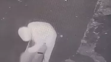 Primele imagini din noaptea crimei de la Mangalia. Loredana cară singură geamantanul prin parc, după ce scapă de trupul Alinei, apoi urcă în taxi