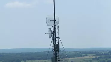 Guvernul francez a comandat o anchetă pentru a verifica dacă e posibil ca rețelele de telefonie mobilă sau electrice să ucidă vacile