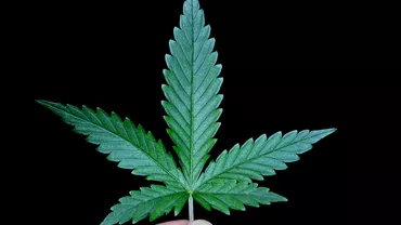 Sondaj: Doar 16% dintre români sunt de acord cu legalizarea drogurilor ușoare, 76% se opun