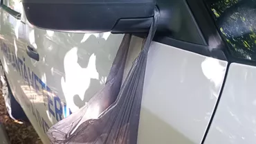 Amendă usturătoare pentru un bărbat care a abandonat un pisoi de 3 săptămâni / L-a pus într-o pungă de plastic și a agățat-o de oglinda unei ambulanţe veterinare