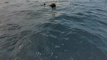 Mină marină descoperită în Marea Neagră, aproape de coasta Turciei