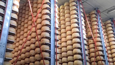 Modalitatea inedită prin care producătorii brânzei „Parmigiano Reggiano” vor să lupte împotriva falsurilor