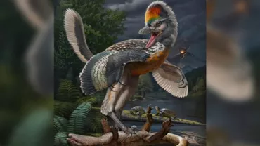 Dinozaur asemănător unei păsări, descoperit în China / Creatura ar fi trăit în urmă cu 150 de milioane de ani