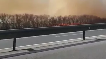 Incendiu de vegetaţie pe autostrada A1 București-Pitești: Traficul este blocat total