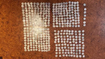 Un căutător autorizat a descoperit peste 400 de monede din perioada cuceririi Daciei, în Hunedoara / Cât ar urma să primească din partea statului