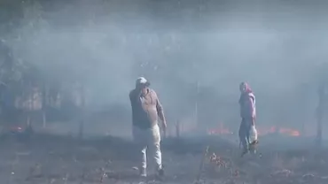 Incendiu puternic într-o localitate din Constanța. Două terenuri cu vegetație s-au făcut scrum, după ce o persoană a dat foc la resturi vegetale