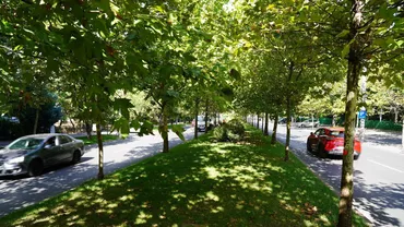 Modelul care arată că dezvoltarea urbană nu depinde de mărimea orașului