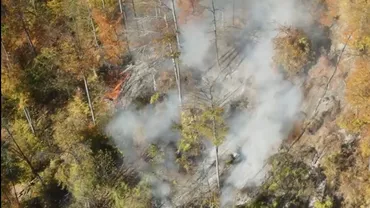 Incendiu puternic pe Valea Doftanei! Pompierii luptă să stingă 12.000 mp de pădure, lângă Barajul Paltinu