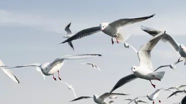 Vacanță cu surprize! Gestul banal care îți poate aduce o amendă de până la 2.500 de lire pe plajele din Marea Britanie