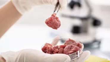 Tensiuni în parlamentul italian pe fondul interzicerii cărnii produse în laborator