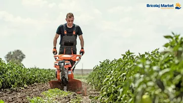 Aveți nevoie de motocultoare profesionale pentru munca agricolă? Aflați de Bricolaj Market!
