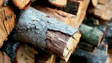 Romsilva va da 2 milioane de metri cubi de lemne de foc populaţiei: Cât costă metrul cub de lemn