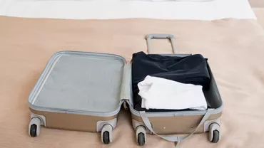 A vrut să-și ia valiza de pe bandă, însă a simțit o înțepătură. Ce se afla pe aeroportul din Boston și cum a ajuns femeia la spital