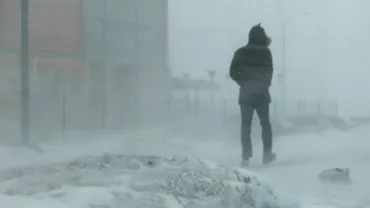 Alertă de iarnă severă! Ninsori, viscol și ger în aproape toată țara până miercuri