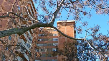 Modificări fiscale majore pentru proprietarii care-și dau apartamentele în chirie
