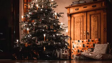 Ce trebuie să faci pentru ca bradul de Crăciun să reziste mai mult în casă