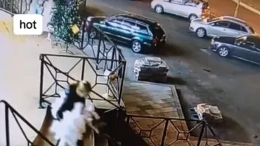 Brad furat din fața magazinului, în Dej. Femeia voia să economisească bani de Crăciun