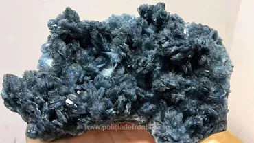Cluj: 27 de kilograme de flori de mină, descoperite într-un colet, în aeroport. Unde urma să fie trimis pachetul