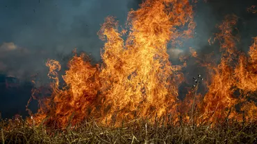 Incendiu de vegetație în California de Nord. Mii de persoane au fost evacuate (VIDEO)