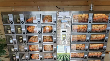 Un fermier din Bihor a deschis primul automat pentru vânzarea cartofilor din România. La ce sumă se ridică investiția