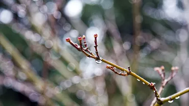 Urmează temperaturi neobișnuite în România. Cum va fi vremea în următoarele patru săptămâni