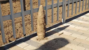 Un obuz din al Doilea Război Mondial a fost descoperit în grădina unui bloc din Sectorul 5 al Capitalei (FOTO)