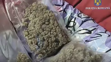 Două persoane au fost reținute de procurorii DIICOT după ce au cultivat canabis într-o casă din Buzău