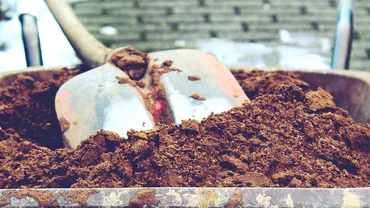 Ce a descoperit un cuplu în grădina casei, sub o placă de pavaj. Ei au început căutările după ce vecinii le-ar fi spus că există ceva care datează de mult timp