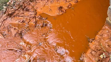 Apele Române: Alertă pe Valea Borod, în județul Bihor. Apa are o culoare roșiatică, de intensitate mare