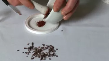 Puțini oameni știu că în realitate consumă zilnic insecte sau ingrediente provenite din acestea/ Ce se găsește în iaurturi, înghețate sau gogoși