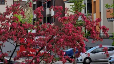 Taxa bizară dintr-un bloc din Iași. Pentru ce plătesc locatarii în fiecare lună